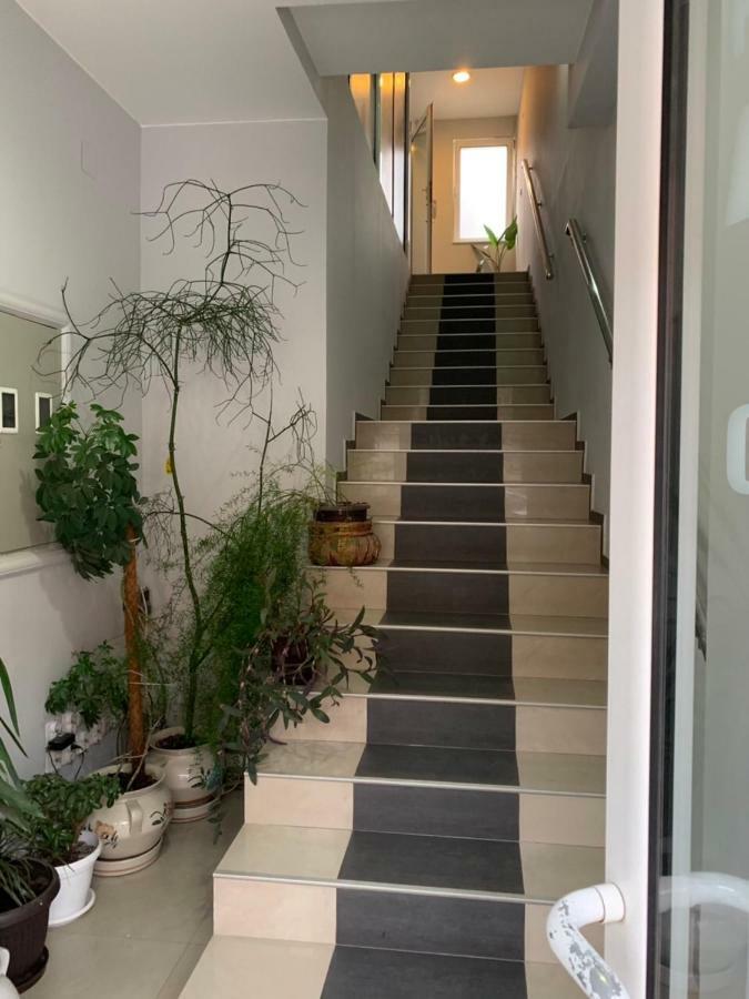 איווניצה Apartmani Jovanovic מראה חיצוני תמונה