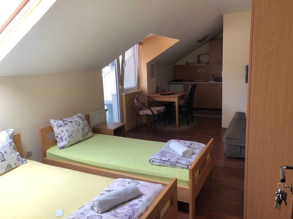 איווניצה Apartmani Jovanovic מראה חיצוני תמונה